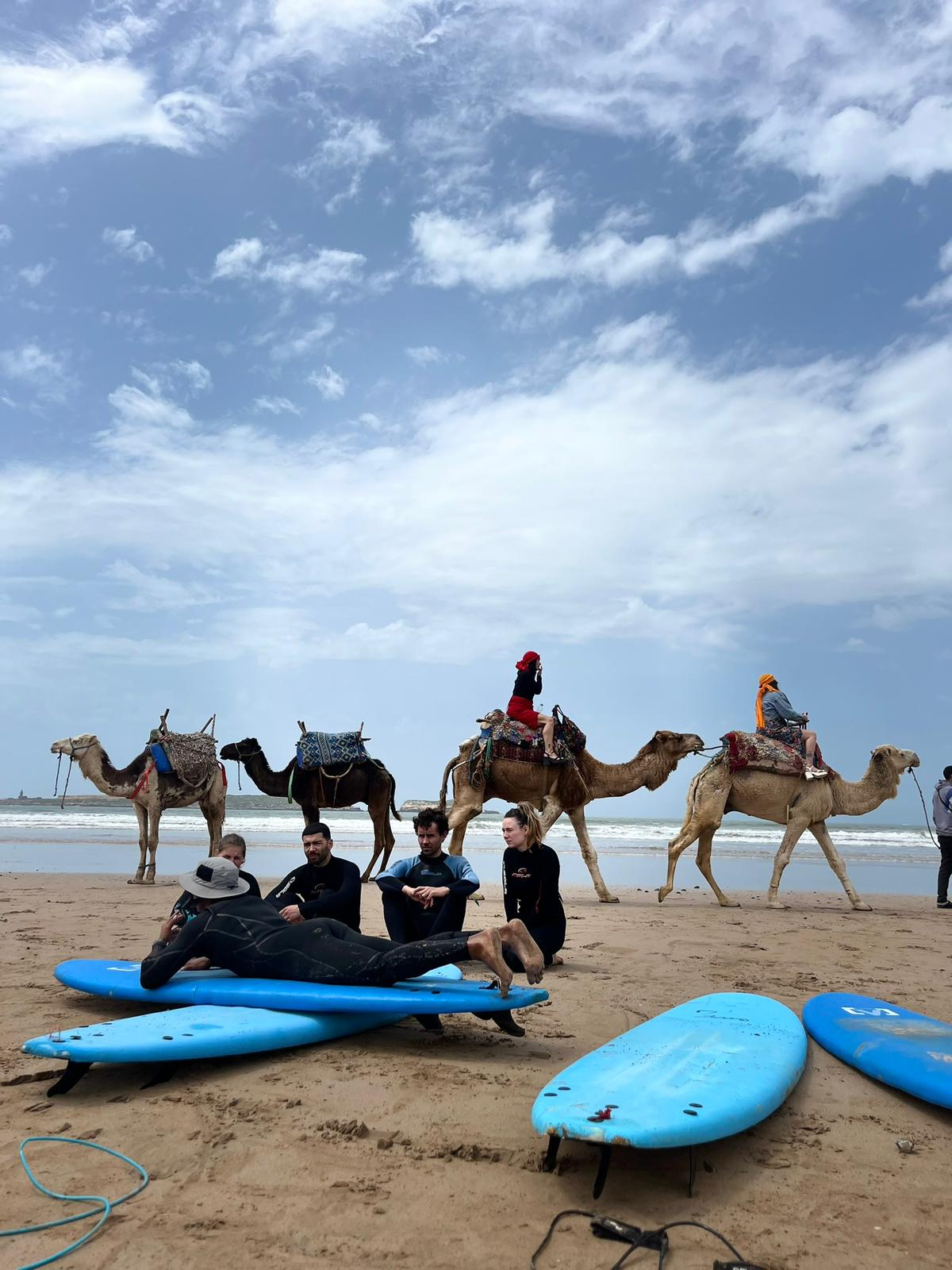 Surfers and camels on Essaouira beach
